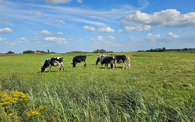 Luchtfoto van Nederlands agrarisch landschap met velden, waterlopen en bebouwing
